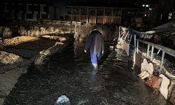 Afyonkarahisar'da binaları su bastı!