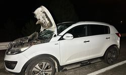 Uşak Bozkuş Köyü civarında cipin çarptığı Birol Ertuğrul, tüm çabalara rağmen kurtarılamadı