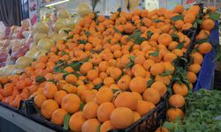 İzmir mandalinasını en çok Iraklılar yiyor