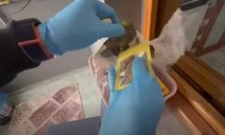 Uşak'ın da aralarında bulunduğu 63 ilde operasyon