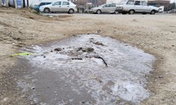 Uşak'ta dondurucu soğuklar devam edecek! Kar beklentisi yok, havanın yumuşama ihtimali çok az!