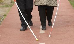 Uşak Milletvekili Ali Karaoba, görme engellilerin trafikteki çilesine vurgu yaptı