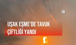 Uşak Eşme Yeleğen'deki tavuk çiftliğinde yangın