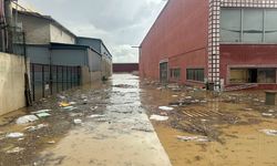 Uşak Değirmendere ve Çanlı'daki arazi ve fabrikalar su altında kaldı