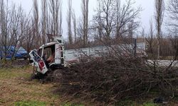 Banaz'da ilginç kaza! Kamyon ağaca çarptı 4 kişi yaralandı!