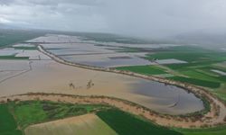 Aydın'da sağanak Büyük Menderes Nehri'ni taşırdı!