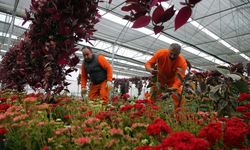 Dalaman Cezaevi'nde 14 Şubat Sevgililer Günü mesaisi