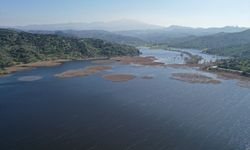 Büyük Menderes'in oluşturduğu Azap gölü, yeniden hayata döndü