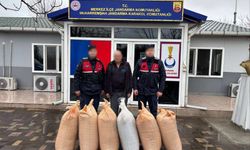 Uşak'ta çörekotu operasyonu! Mağdurun malı iade edildi!