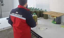 Uşak İl Sağlık Müdürlüğü'nden zeytin yağlarına sıkı takip!