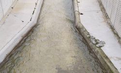 Uşak'ta yağış devam edecek! Dokuzsele eski günlerdeki gibi berrak akıyor!