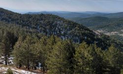 Uşak ve Banaz'ın su kaynaklarını barındıran Bahadır, maden projesinden zarar görebilir