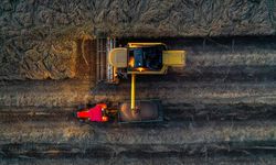 Son yağışlar buğdayda çiftçinin yüzünü güldürecek mi?