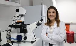 İzmir Ekonomi Üniversitesi'ndeki akademisyenler kemik erimesine karşı ilaç geliştirdi