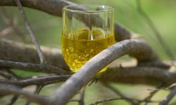 Seferihisar'daki tadım merkezinde 90 farklı lezzet sunuluyor