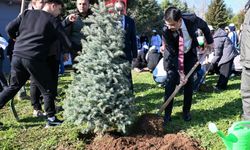 Uşak Valisi Serdar Kartal fidan dikti