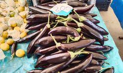 Uşak'ta patlıcanın kilosu 200 TL'ye çıktı!