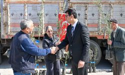 Uşak Karakuyu köyünde zeytin üretimini destek için fidan dağıtıldı