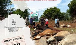 Uşak'taki gönüllüler, Tanzanya ve Sudan'da kurban paylarını dağıtacaklarını bildirdi