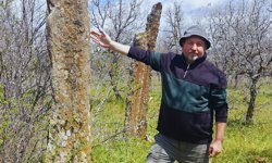 Uşak’ta Karakeçili yerleşiminin izi: Dereköy Balbalları