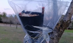 Uşak İl Tarım ve Orman Müdürlüğü, Zirai Dona karşı etkili olan önlemi uygulamalı şekilde anlattı