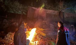 Uşak İl Tarım ve Orman Müdürlüğü hafta sonu eksi derecelere düşen sıcaklıklar sebebiyle saha çalışmaları yaptı