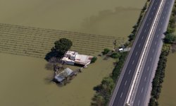 Gediz Nehri'nin taşması sonucu bölge yine sular altında kaldı