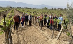Uşak Eşme'nin komşusu Alaşehir'de kaliteli ve kalıntısız üzüm yetiştirilecek!