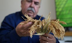 Çeltiğin babası, Kayı, Irmak ve Yörük'ü üreticiyle buluşturdu