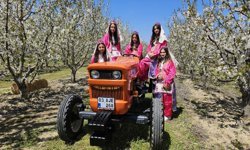 Sultandağı'nın kirazı için foto safari yapıldı!