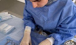 Evcil hayvan bakımıyla ilgili doğru sanılan yanlışlar neler?