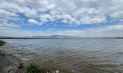 Uşak’tan doğan Büyük Menderes taştı! 65 bin dönüm tarım arazisini su bastı!