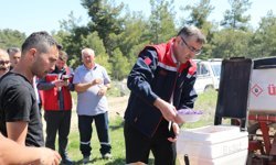 Uşak’ta 5 çeşit yağlık ayçiçeği tohumu toprakla buluştu