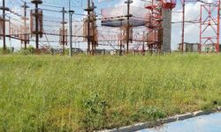 Uşak'taki parkta çıkan kenelerin ardından açıklama! Çocuklara sağlıklı oyun alanı sağlamak yerel yönetimin görevidir!