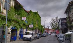 Uşak Fabrikalar Caddesi'nde binaları saran sarmaşık güzel görüntüler ortaya çıkardı!