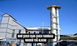 Nuri Şeker Uşak Şeker Fabrikası Müdürlüğü, Madeni Yağ Alacak