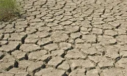 Uşaklı üreticiler tarımsal ekonomi konusunda dikkatli olmalı! Temmuz’da El Nino hava olayı bekleniyor!