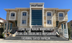 Uşak 1'inci Sulh Hukuk Mahkemesi, Ortaklığın Giderilmesi Kapsamında Tarla Vasıflı Taşınmazı Satacak