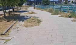 Uşak Kentsel Dönüşüm Site Yönetimi; yabani otlar ve bozuk yollar hakkında bir açıklama yaptı