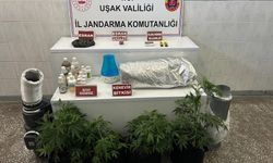 Zehir tacirlerine yönelik operasyonlar Uşak’ta devam ediyor