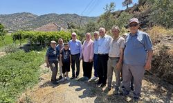 Yangından etkilenen zeytinliklerde inceleme yaptı