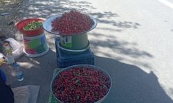 Tezgahlar kuruldu! Şaphane yolunda kiraz mesaisi başladı!