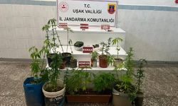 Uşak’ta yasaklı madde ticaretine yönelik operasyonlar sürüyor