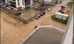 Uşak Cumhuriyet Mahallesi'ndeki bu sokaklar her yağmur sonrası çamur içinde kalıyor