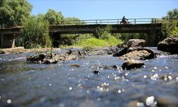 Uşak ve Kula'dan İzmir'e kadar geniş bir alanı kapsayan Gediz Nehri'nde gizli kirlilik olduğunu bildirdi!