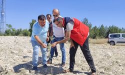 Uşak'ın ilçesi Ulubey'de, Gemlik Zeytini ve arıcılık faaliyetleri yerinde incelendi