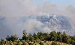 Bir sigara izmariti doğa ve kültür harikası Pamukkale'de yangın çıkardı