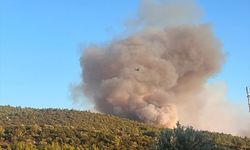 Milas Gürçamlar ve Bozbük'teki yangın nedeniyle 1120 vatandaş güvenli alana geçirildi