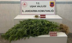 Uşak'ta Jandarmanın kaçakçılık operasyonu neticesinde 2 kişi gözaltına alındı