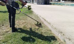 İhmal etme, temizle! Uşak’ta boş arsalardaki kuru otlar yangına davetiye çıkarıyor!